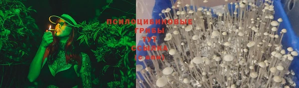 ПСИЛОЦИБИНОВЫЕ ГРИБЫ Медвежьегорск