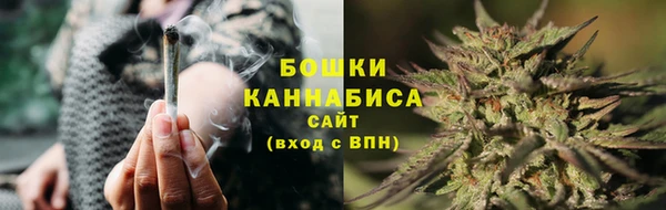 PSILOCYBIN Мегион