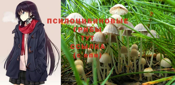 альфа пвп Медногорск