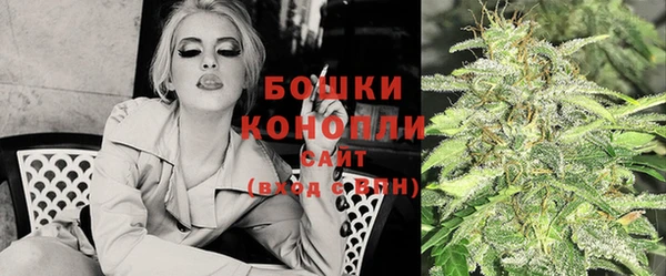 ПСИЛОЦИБИНОВЫЕ ГРИБЫ Медвежьегорск