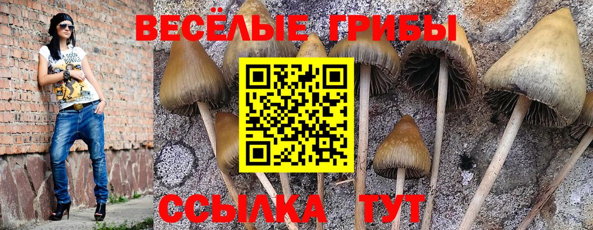 Черногорск  Псилоцибиновые грибы ЛСД  Вход с VPN  Галлюциногенные грибы MAGIC MUSHROOMS 